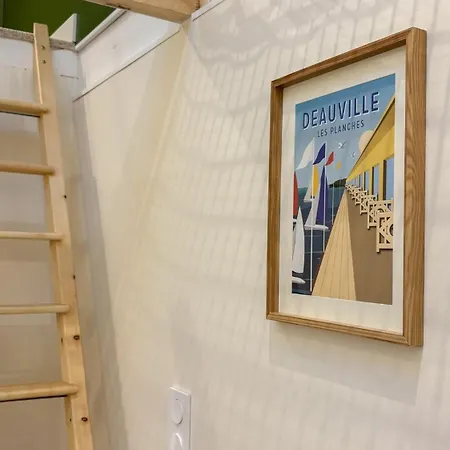 Le Cocon Suspendu Avec Filet Et Cinéma Privé Appartamento *